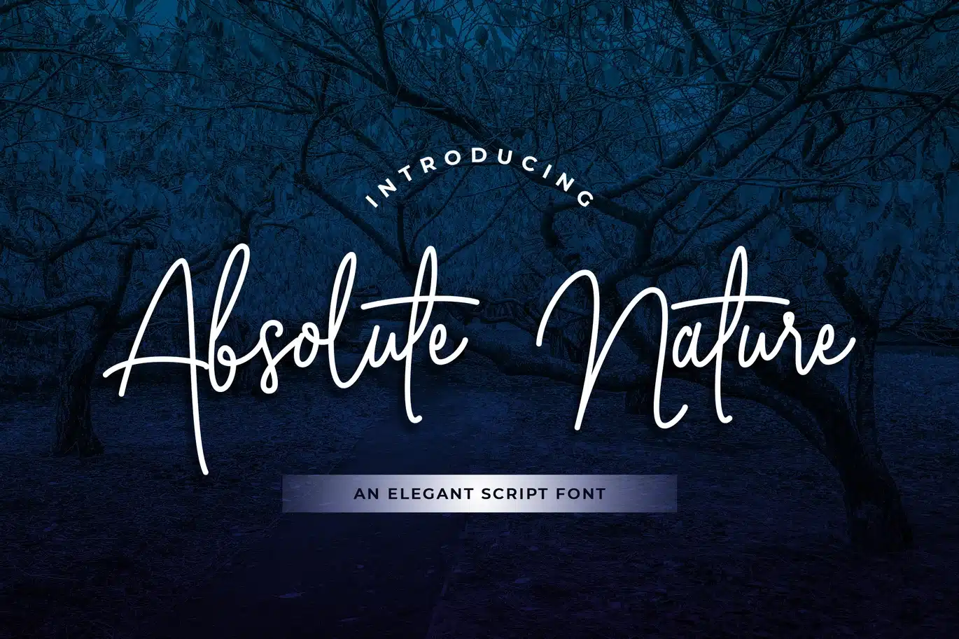 Absolute Nature Handwritten Script Font font preview