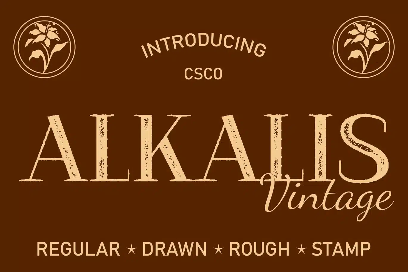 Alkalis Vintage Font font preview
