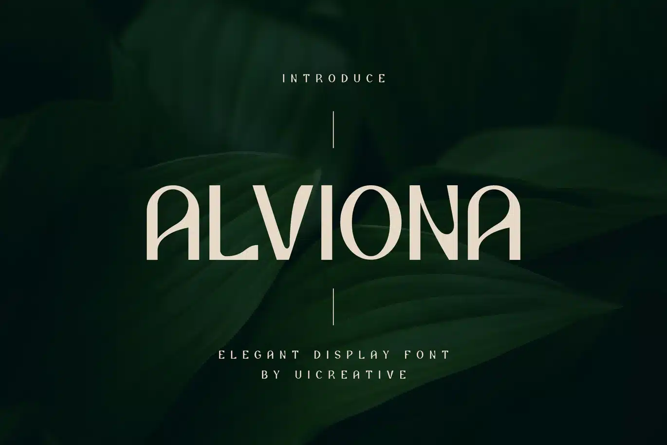 Alviona Modern Serif Font font preview