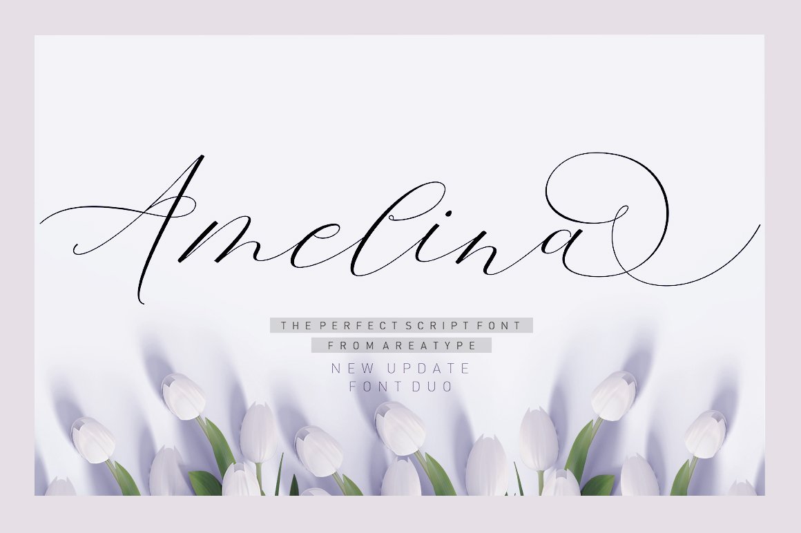 Amelina Script Font Family font preview