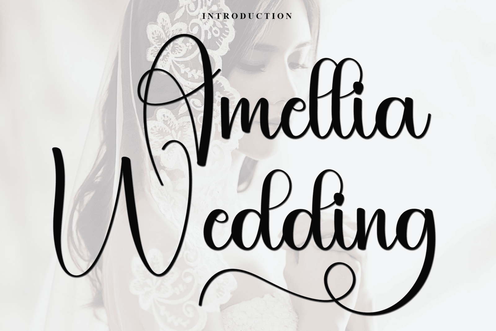 Amellia Wedding Font font preview