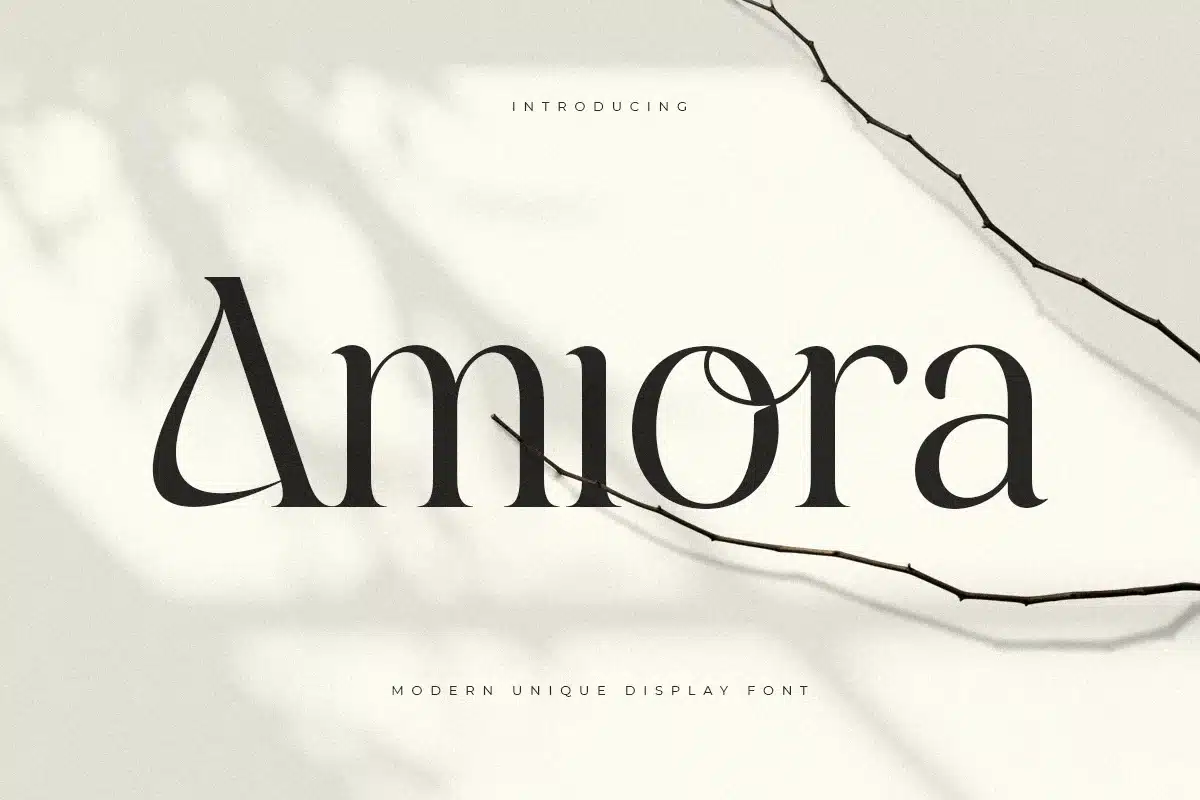 Amiora – Modern Unique Display Font font preview