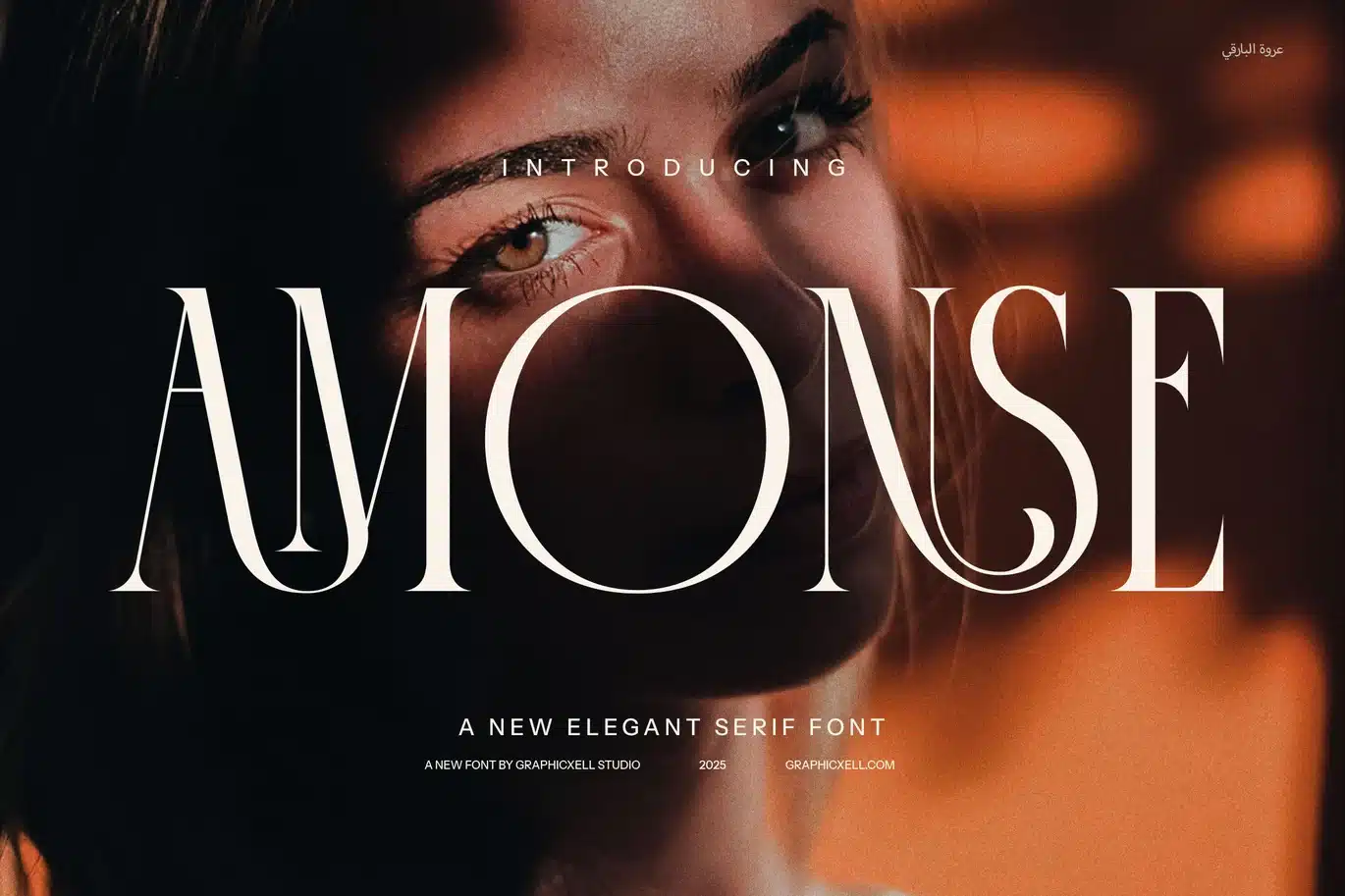 Amonse Ligature Serif Fonts font preview