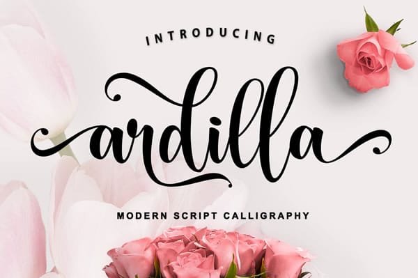Ardilla Font Font font preview