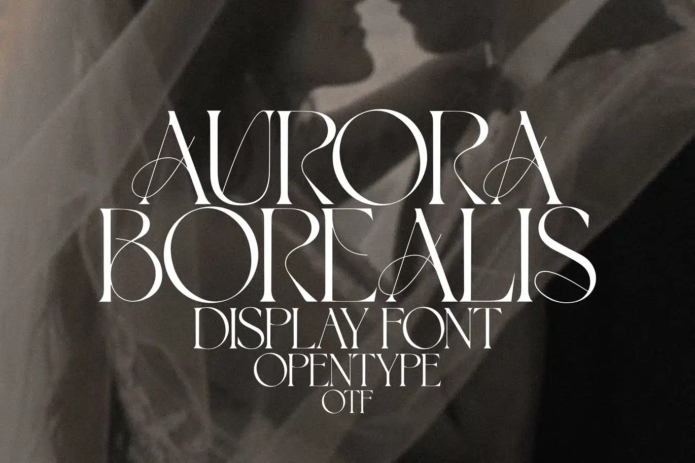 Aurora Borealis – Modern Branding Serif Font font preview