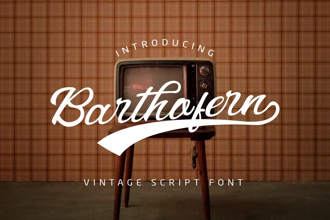 Barthofern – Vintage Script Logo Font font preview