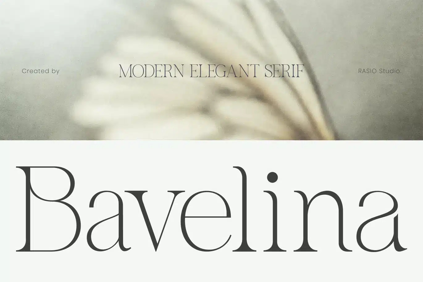 Bavelina Modern Serif Font font preview