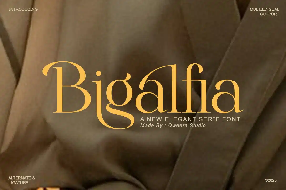 Bigalfia – Elegant Modern Serif Branding Font font preview