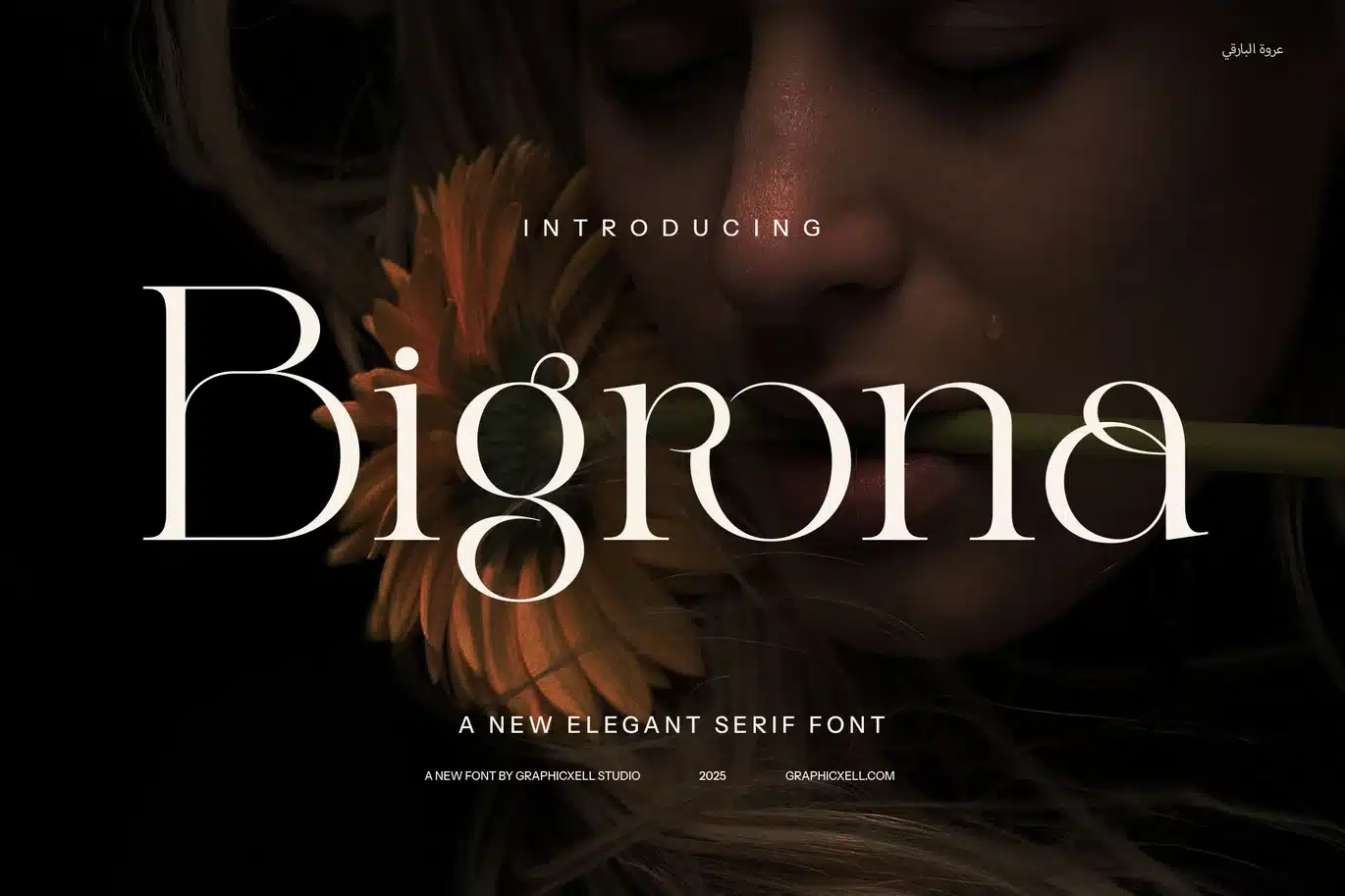 Bigrona Elegant Serif Font font preview