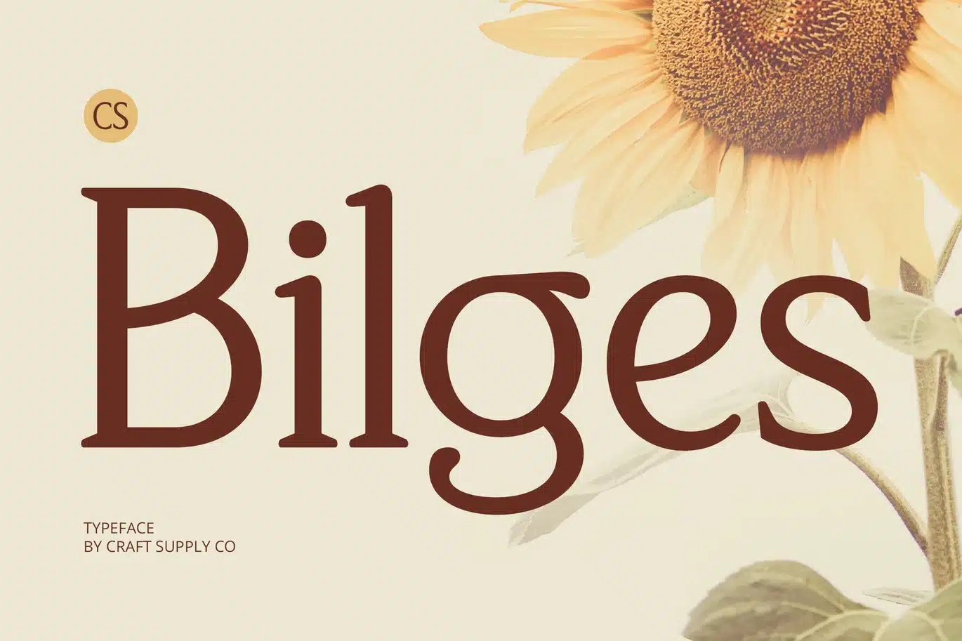 Bilges – Classic Font font preview
