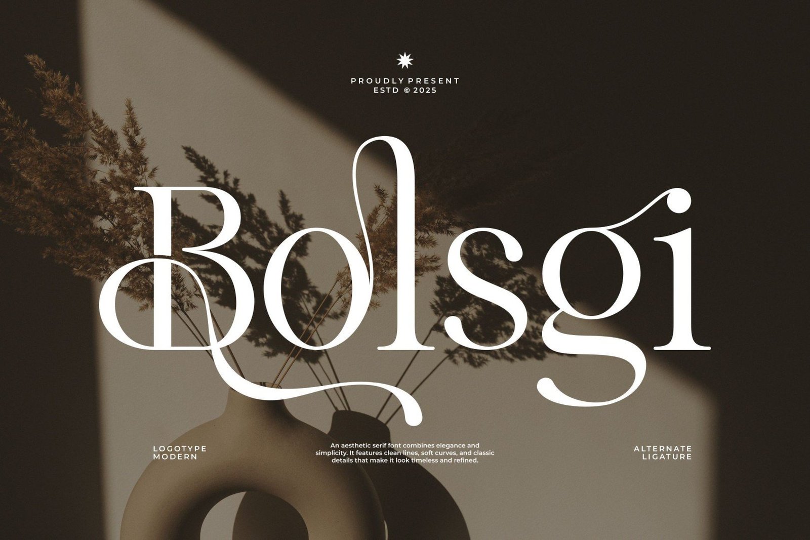 Bolsgi Font font preview