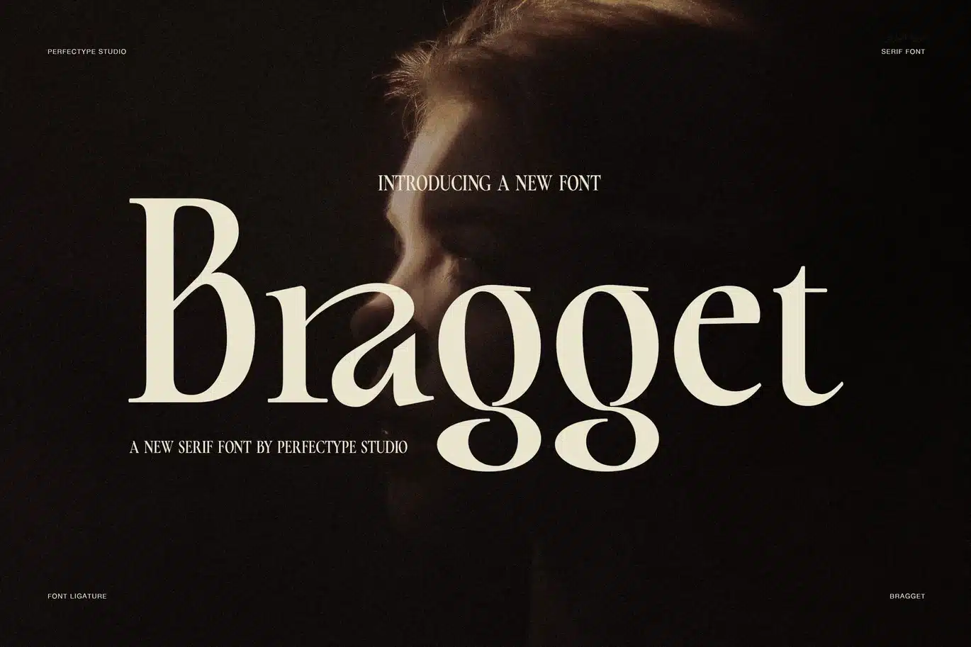 Bragget Elegant Serif Font font preview