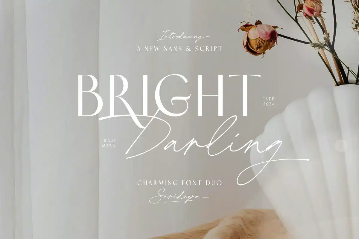 Bright Darling – Charming Font Duo font preview