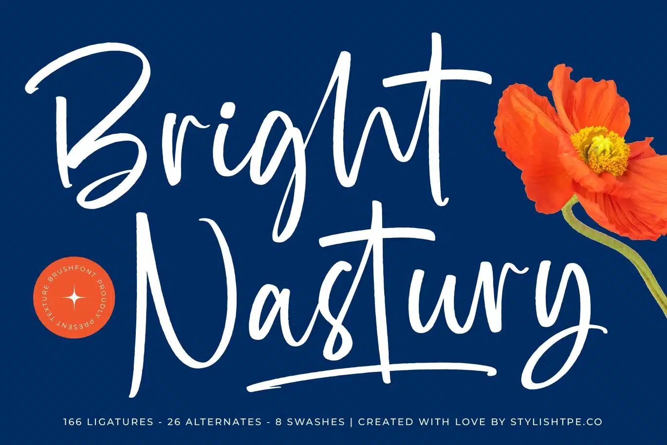 Bright Nastury – Texture Brush Font font preview