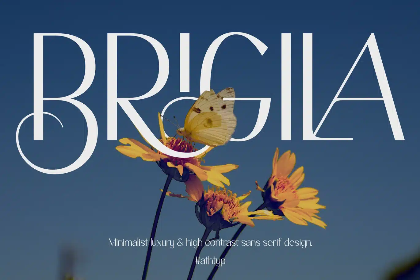Brigila Font font preview