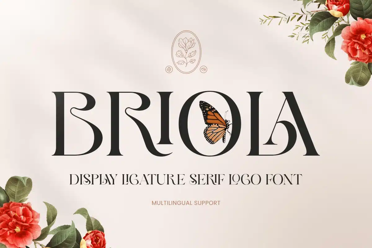 Briola – Classy Ligature Serif Logo Font font preview