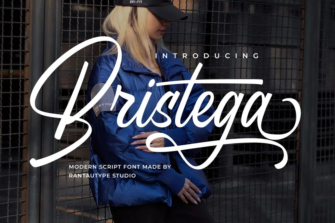 Bristega Modern Script Font font preview