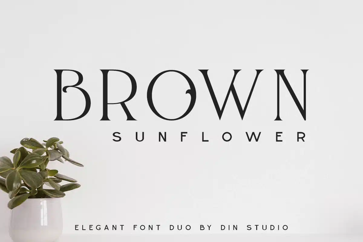 Brown Sunflower – Font Duo font preview