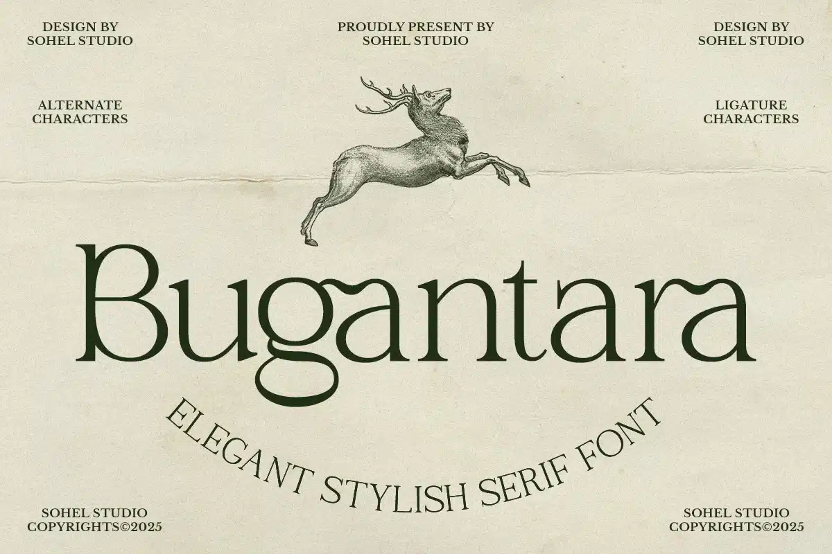 Bugantara – Clean Elegant Font font preview