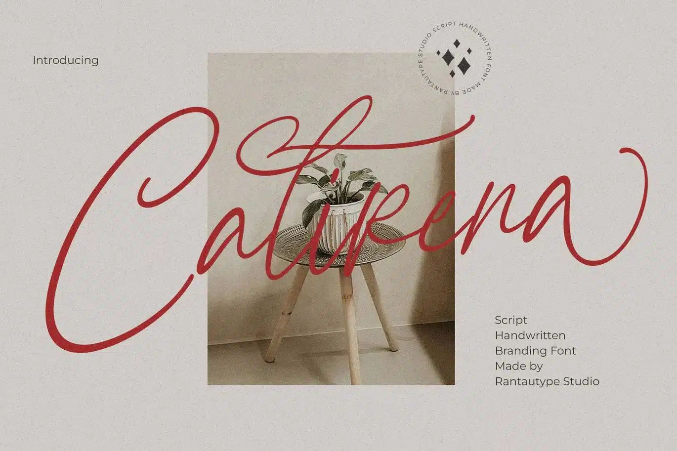 Calirena Branding Script Font font preview