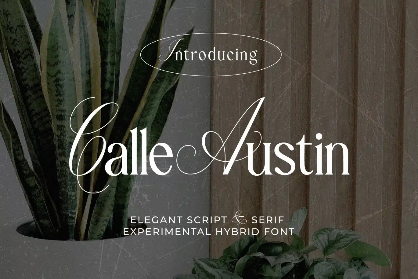 Calle Austin – Experimental Font font preview