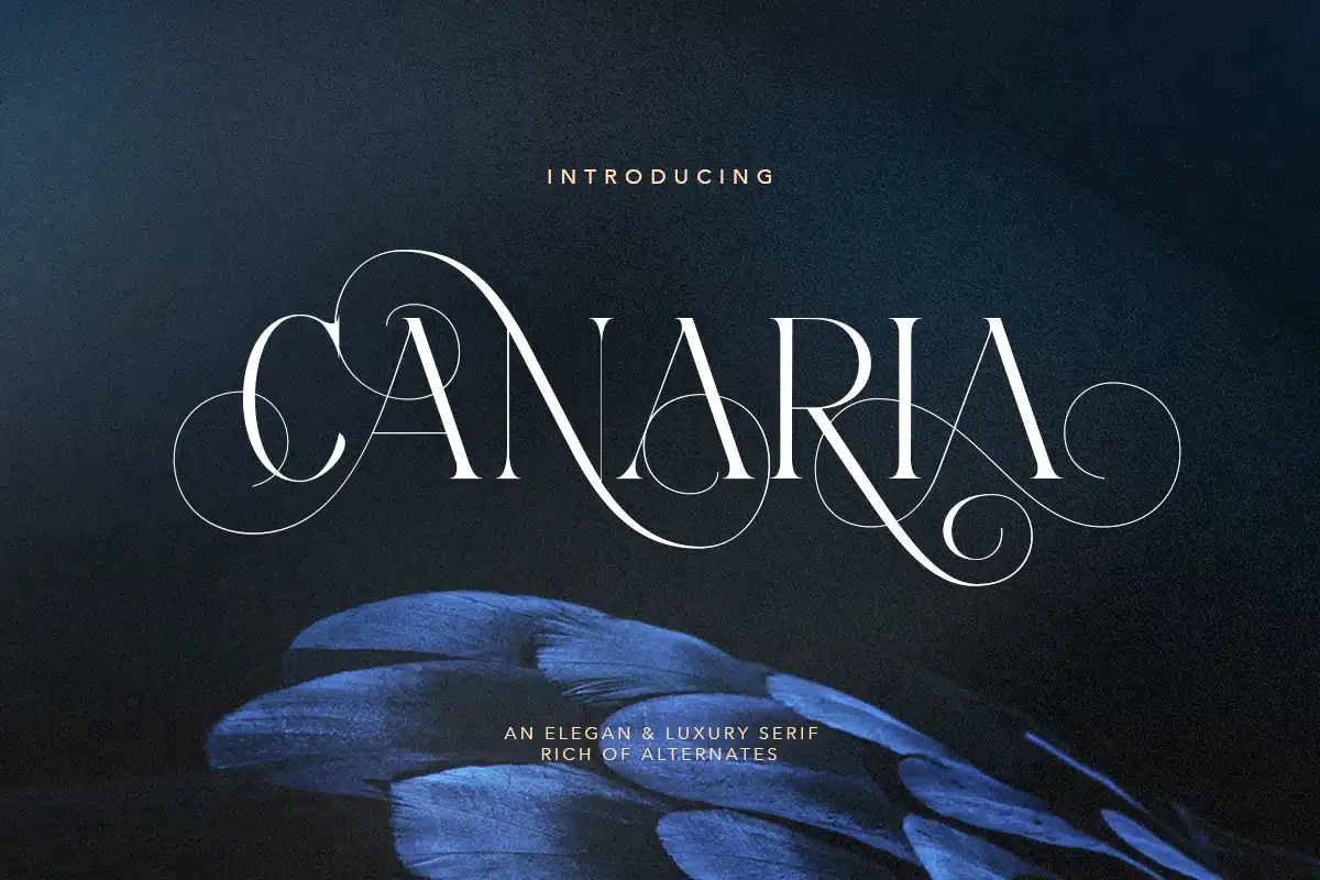 Canaria – Fancy Light Serif Font font preview
