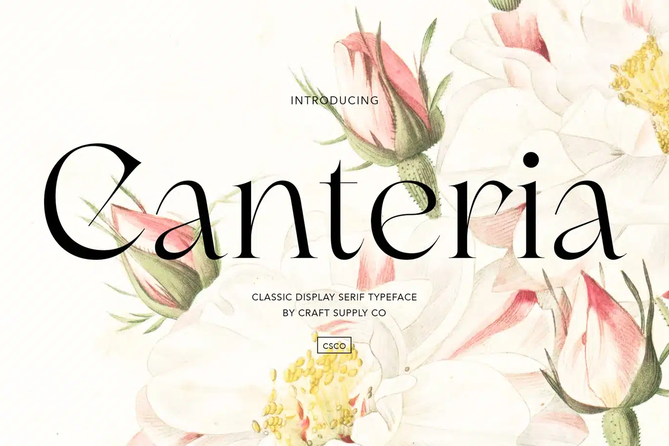 Canteria – Classic Display Serif Font font preview