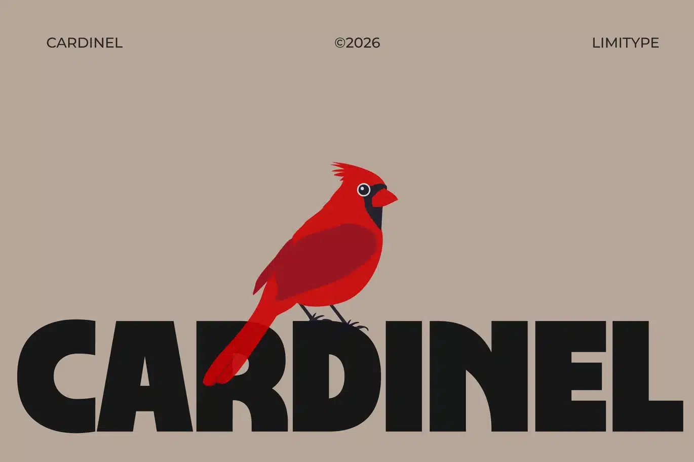 Cardinel – Modern Bold Font font preview