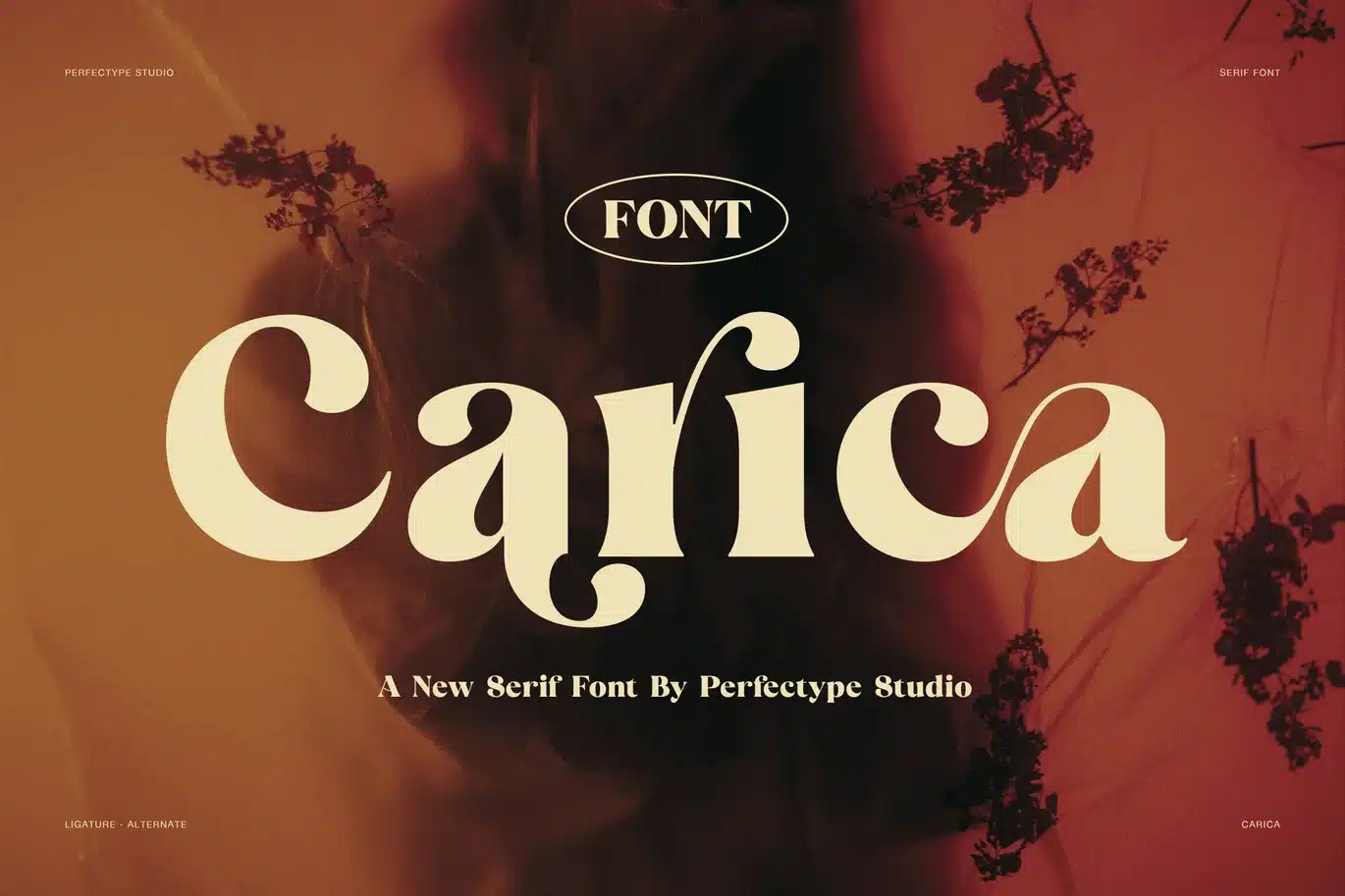Carica Elegant Serif Font font preview