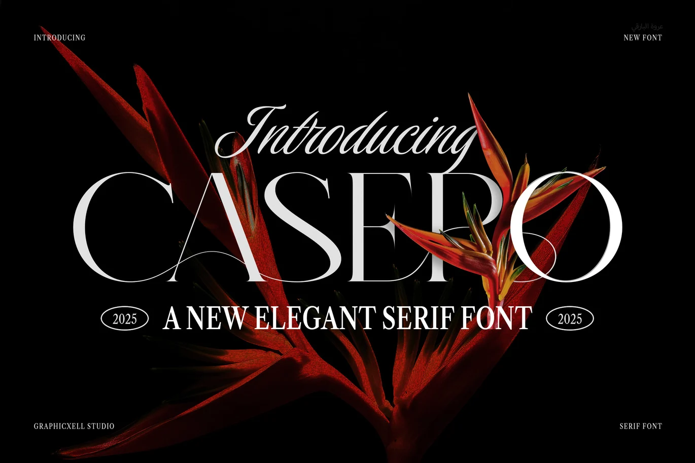 Casero Elegant Serif Font font preview