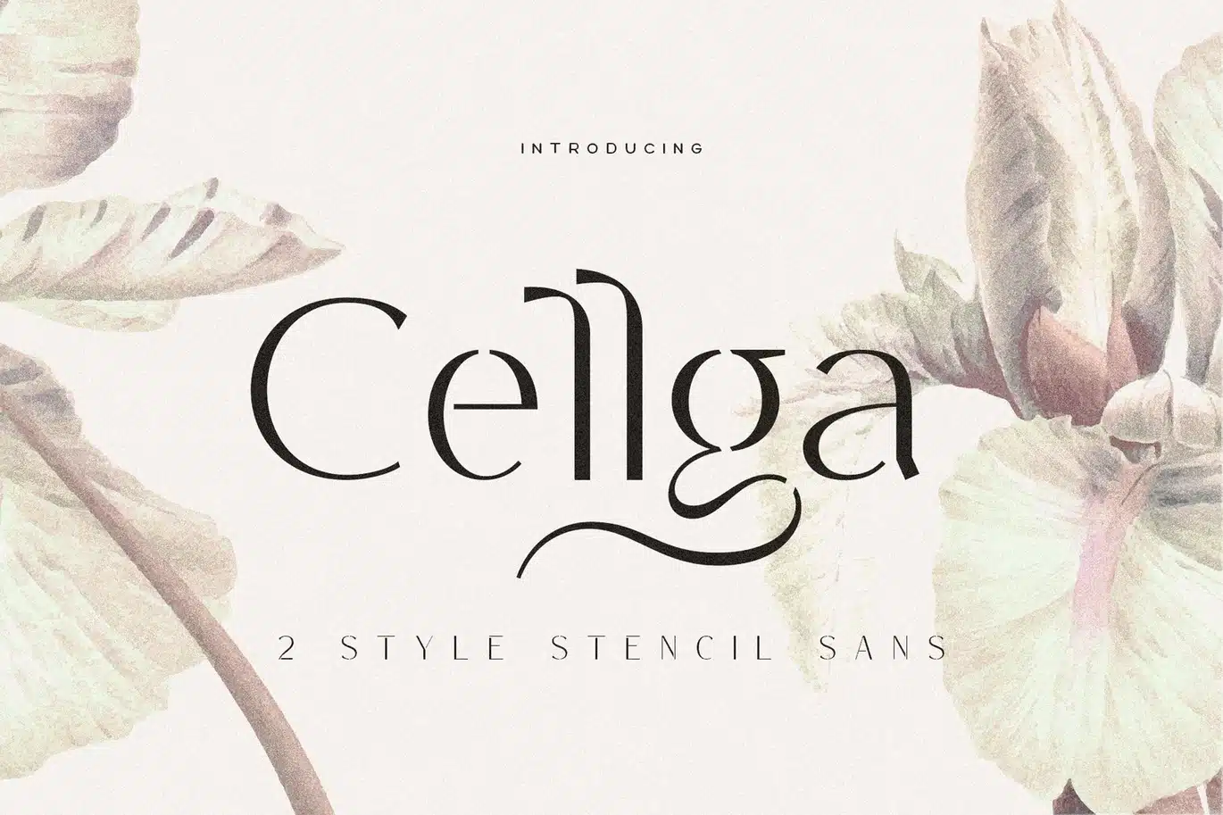 Cellga Typeface Font font preview
