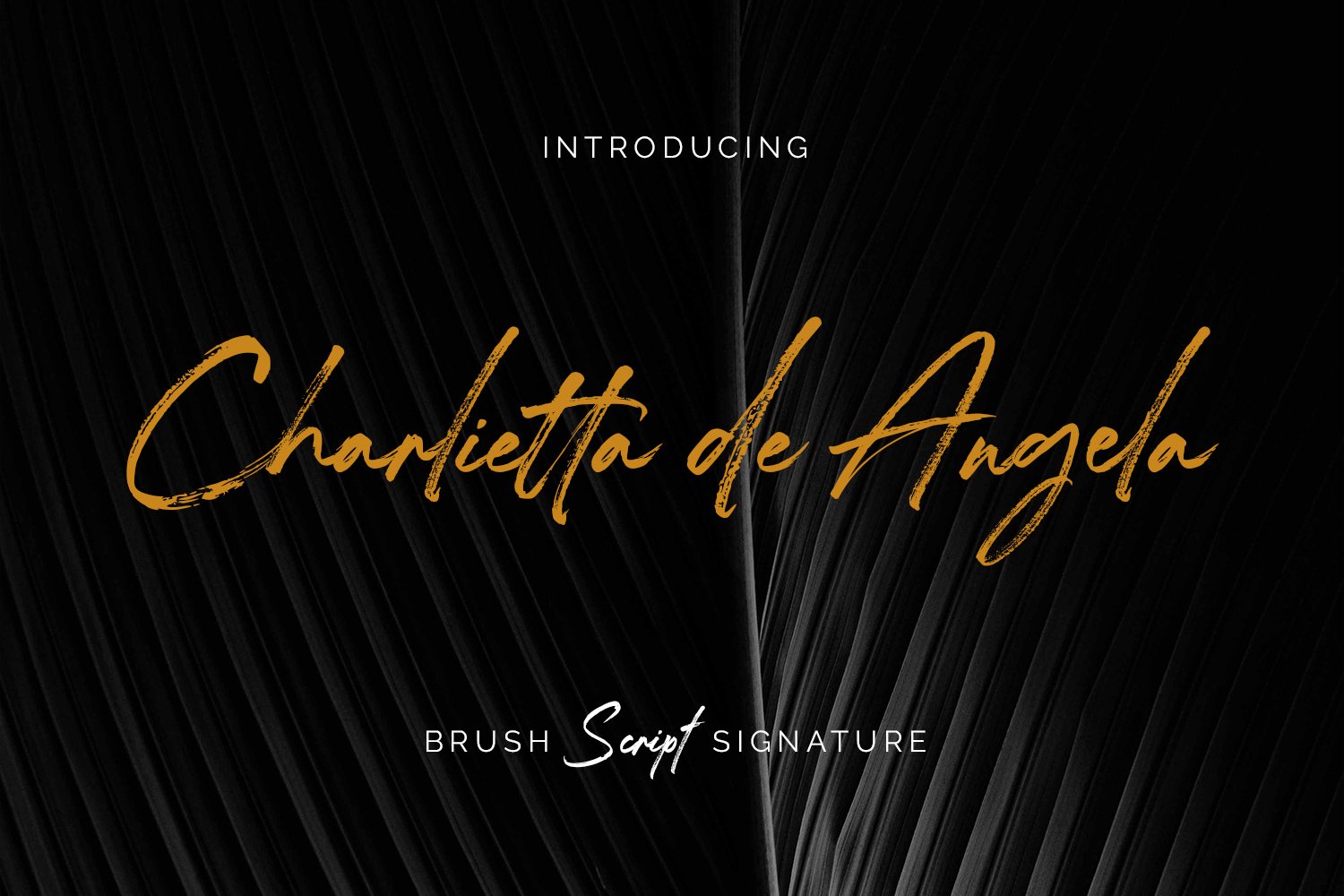 Charlietta de Angela Font font preview
