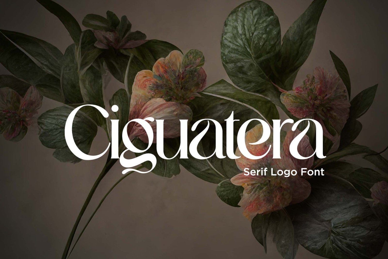 Ciguatera Font font preview