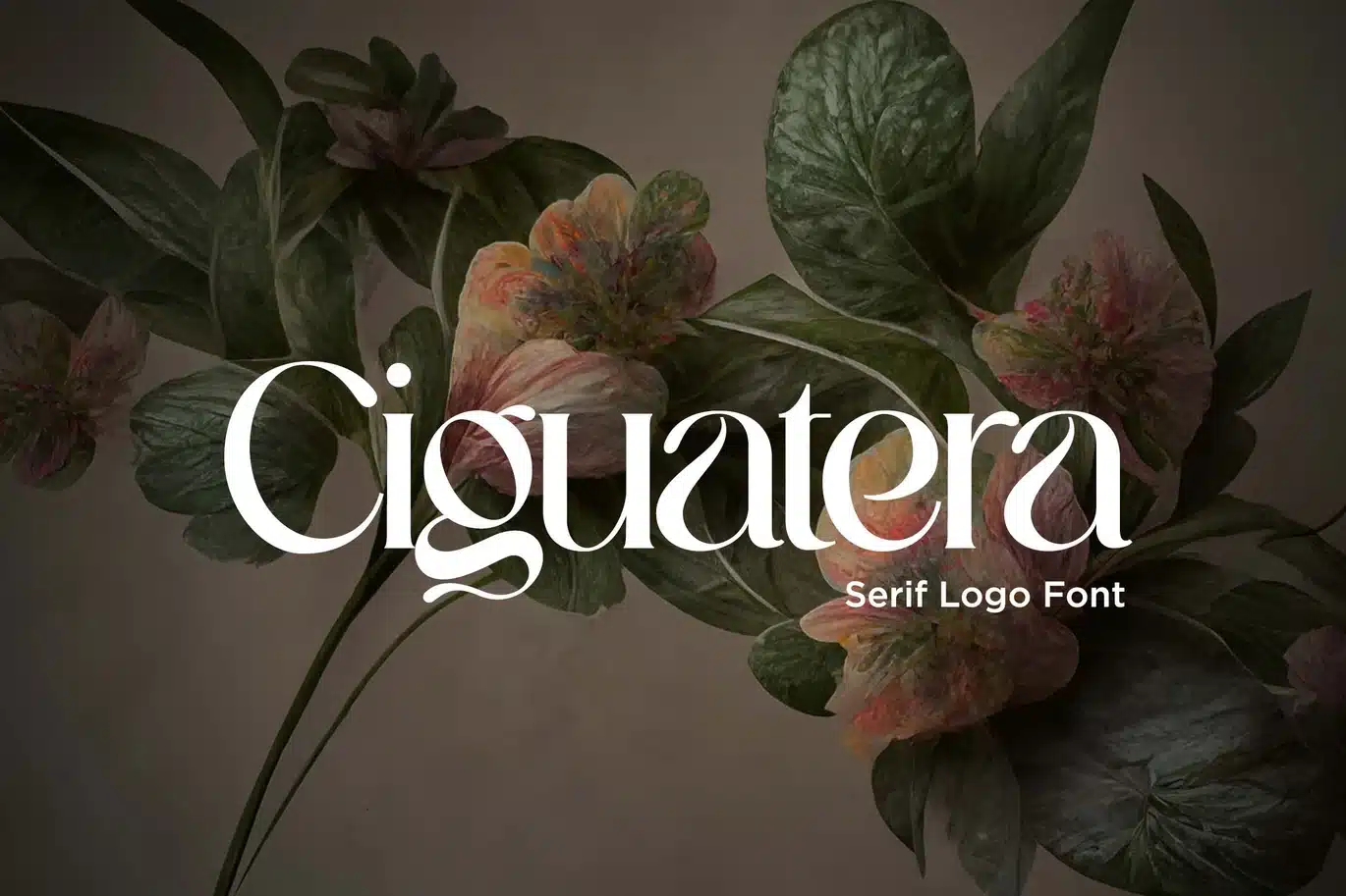 Ciguatera Serif Logo Font font preview