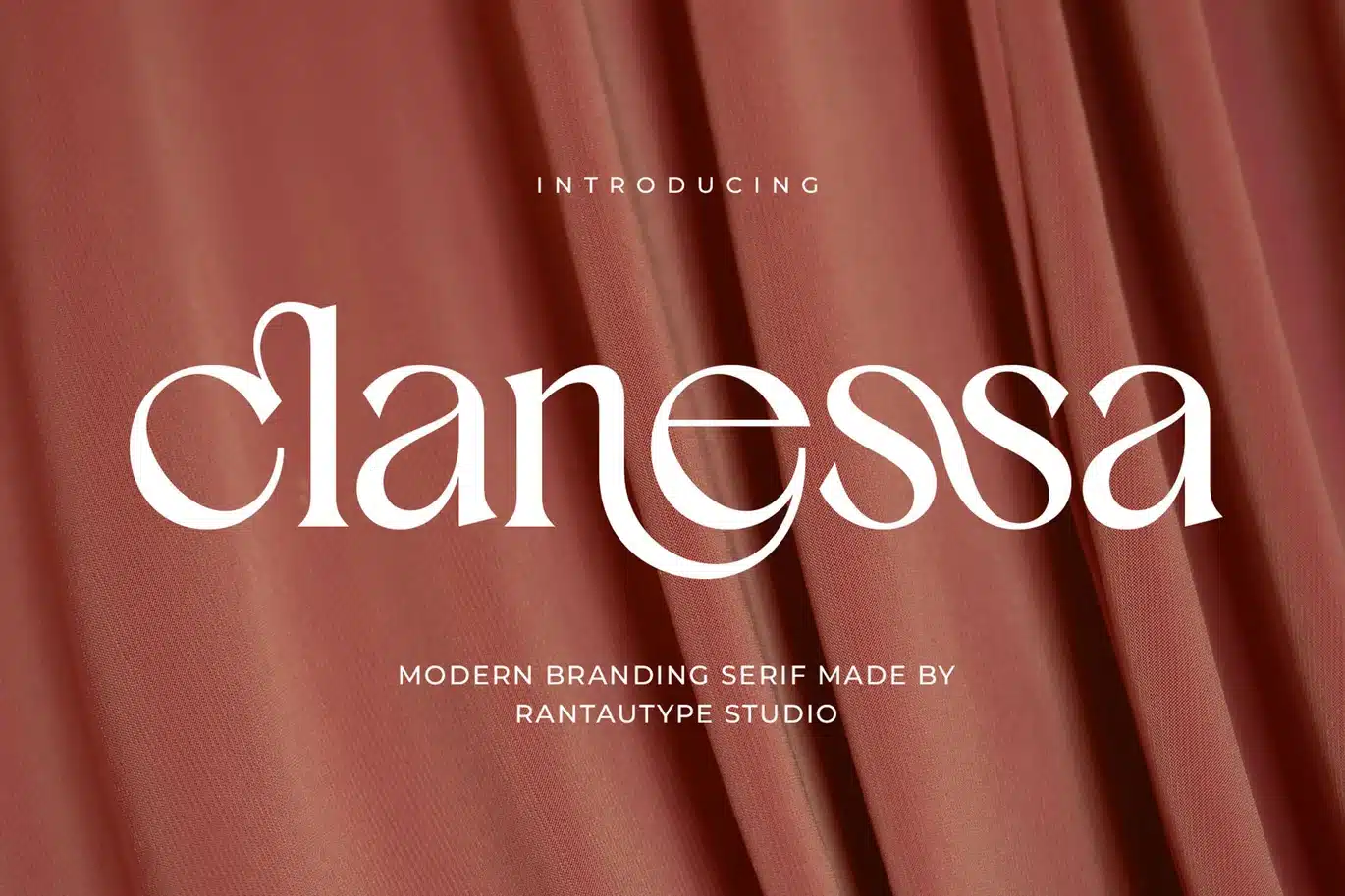 Clanessa Modern Branding Serif Font font preview