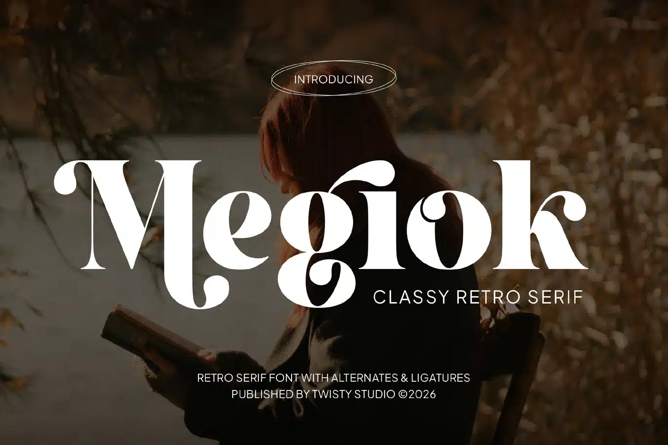 Classy Retro Serif Font – Megiok font preview
