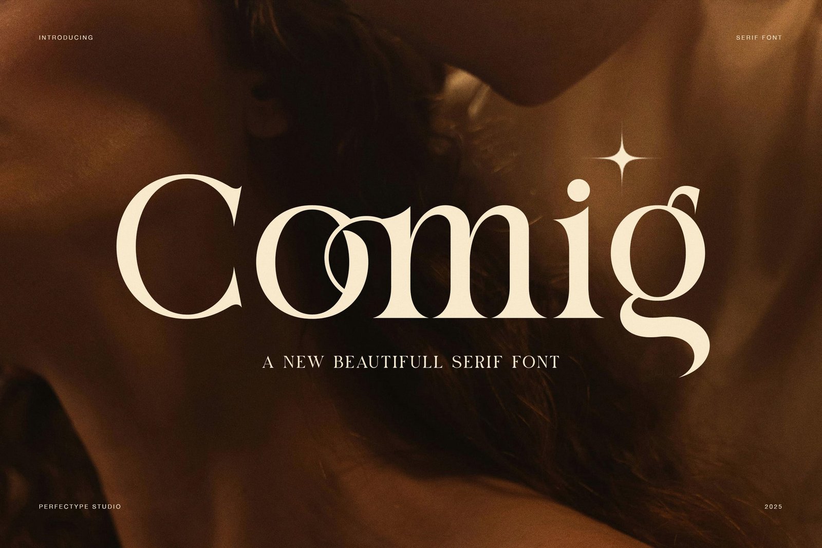 Comig Elegant Serif Font font preview