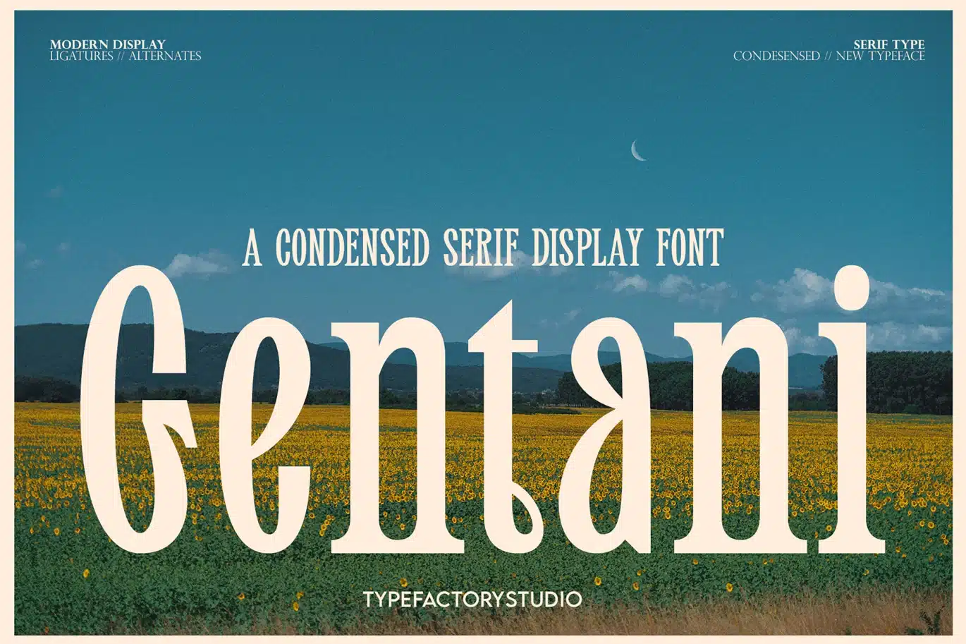 Condensed Serif Font – Gentani font preview