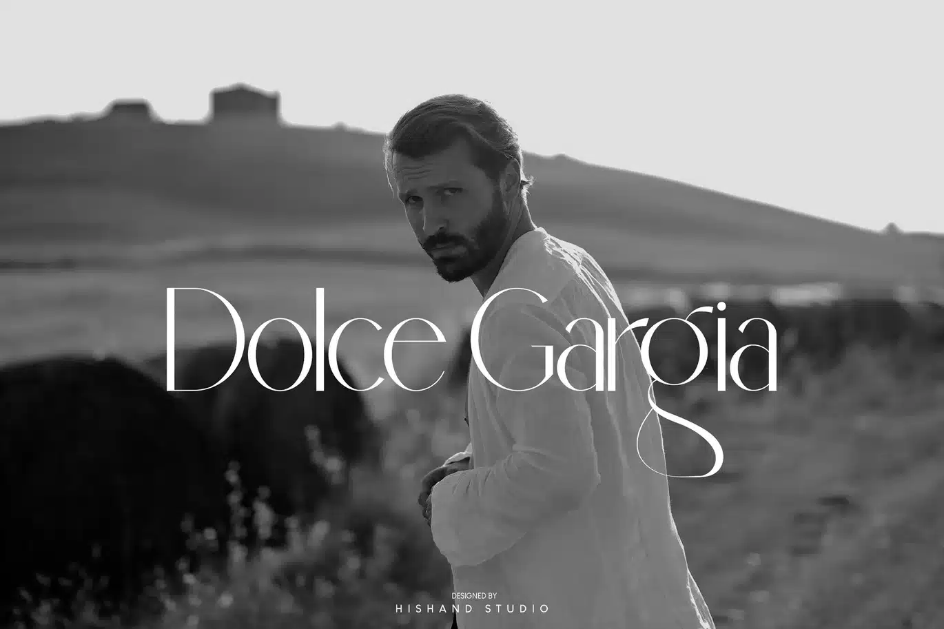 Dolce Gargia Modern Sans Serif Font font preview