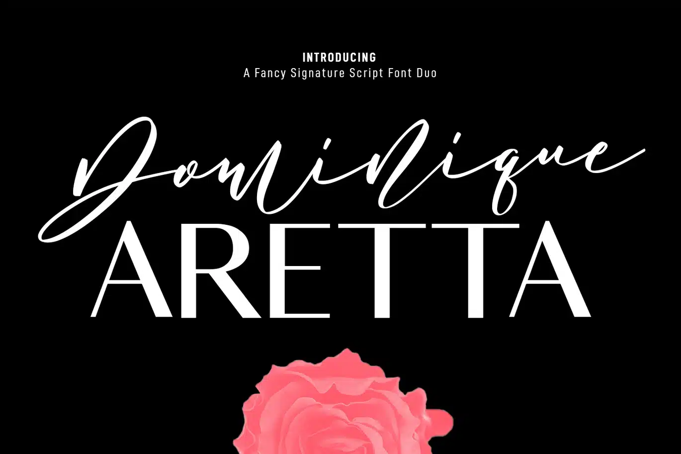 Dominique Aretta Fancy Signature Script Font Duo font preview