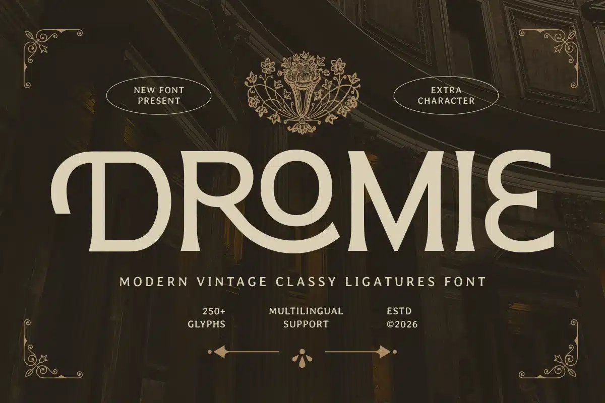 Dromie – Modern Vintage Classy Ligatures Font font preview