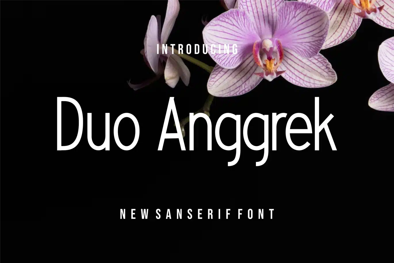 Duo Anggrek Fonts font preview