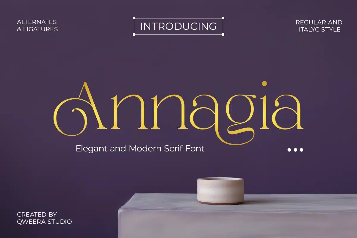 Elegant Modern Branding Serif – Annagia Font font preview