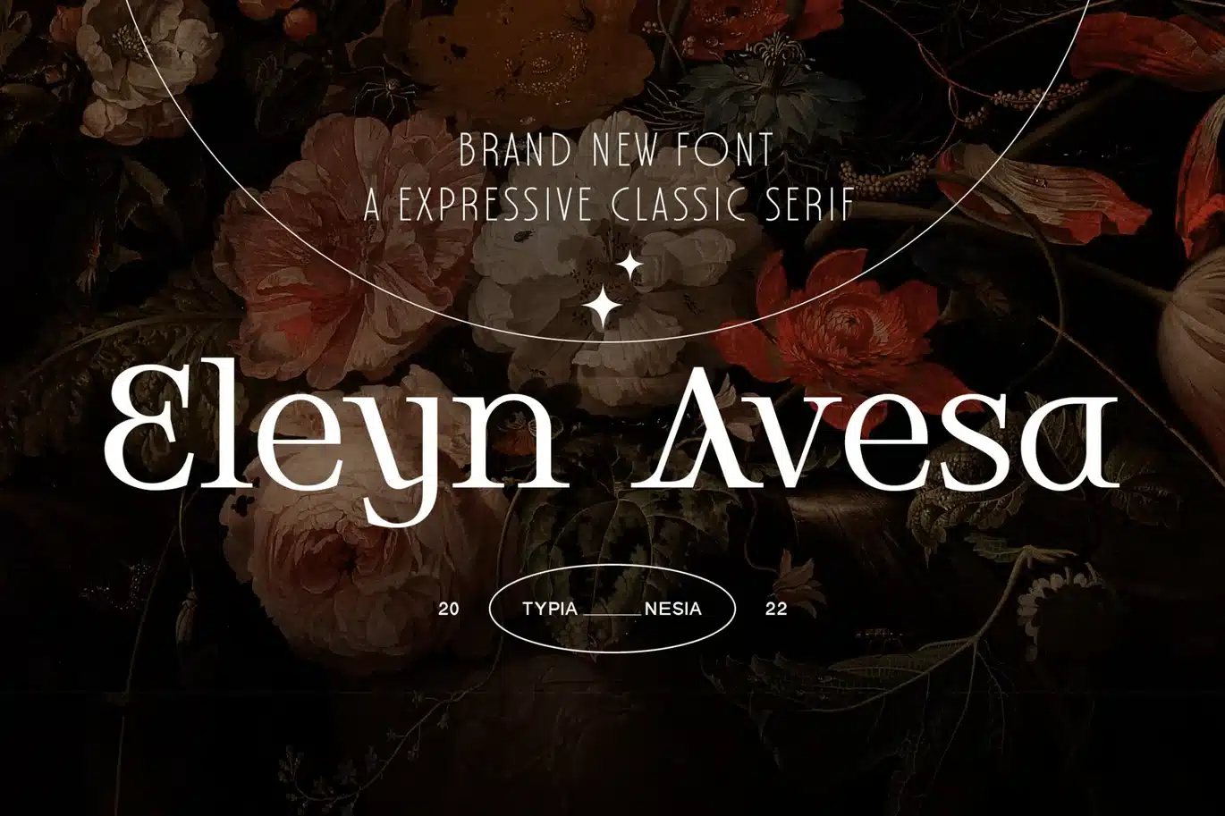 Eleyn Avesa – Classic Elegant Display Serif Font font preview