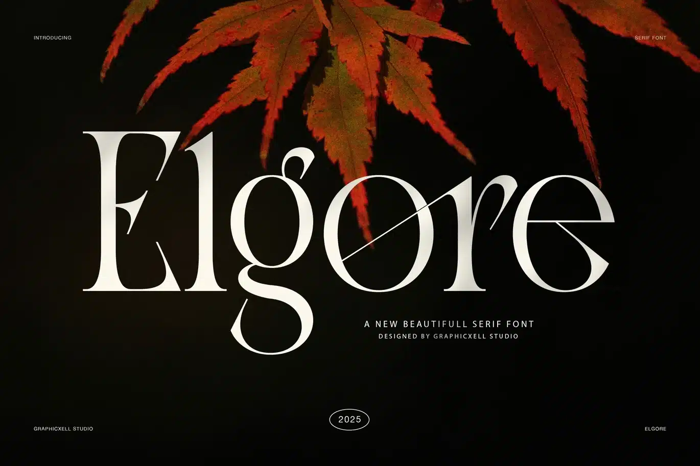 Elgore Elegant Modern Serif Font font preview