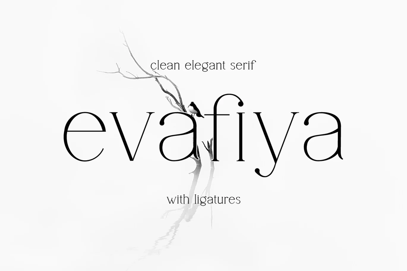Evafiya – Clean Serif Font font preview