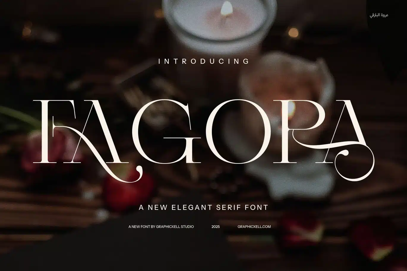Fagora Calligraphy Serif Fonts font preview