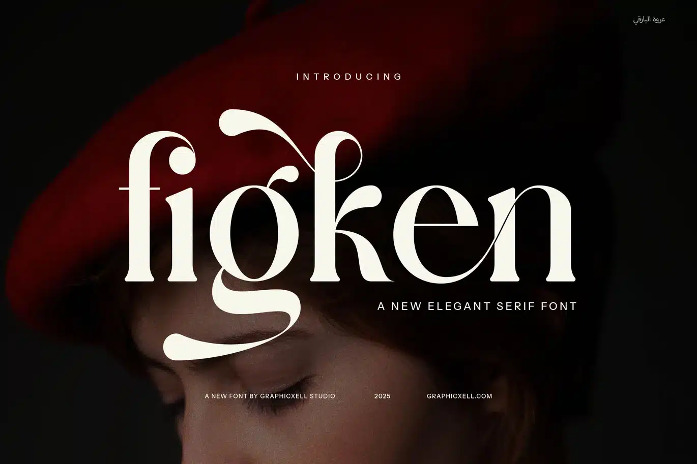 Figken Elegant Serif Font font preview