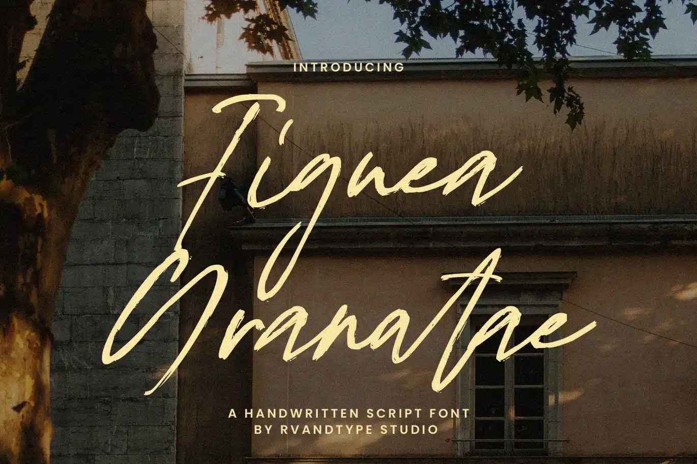 Figuea Granatae – Elegant Script Font font preview