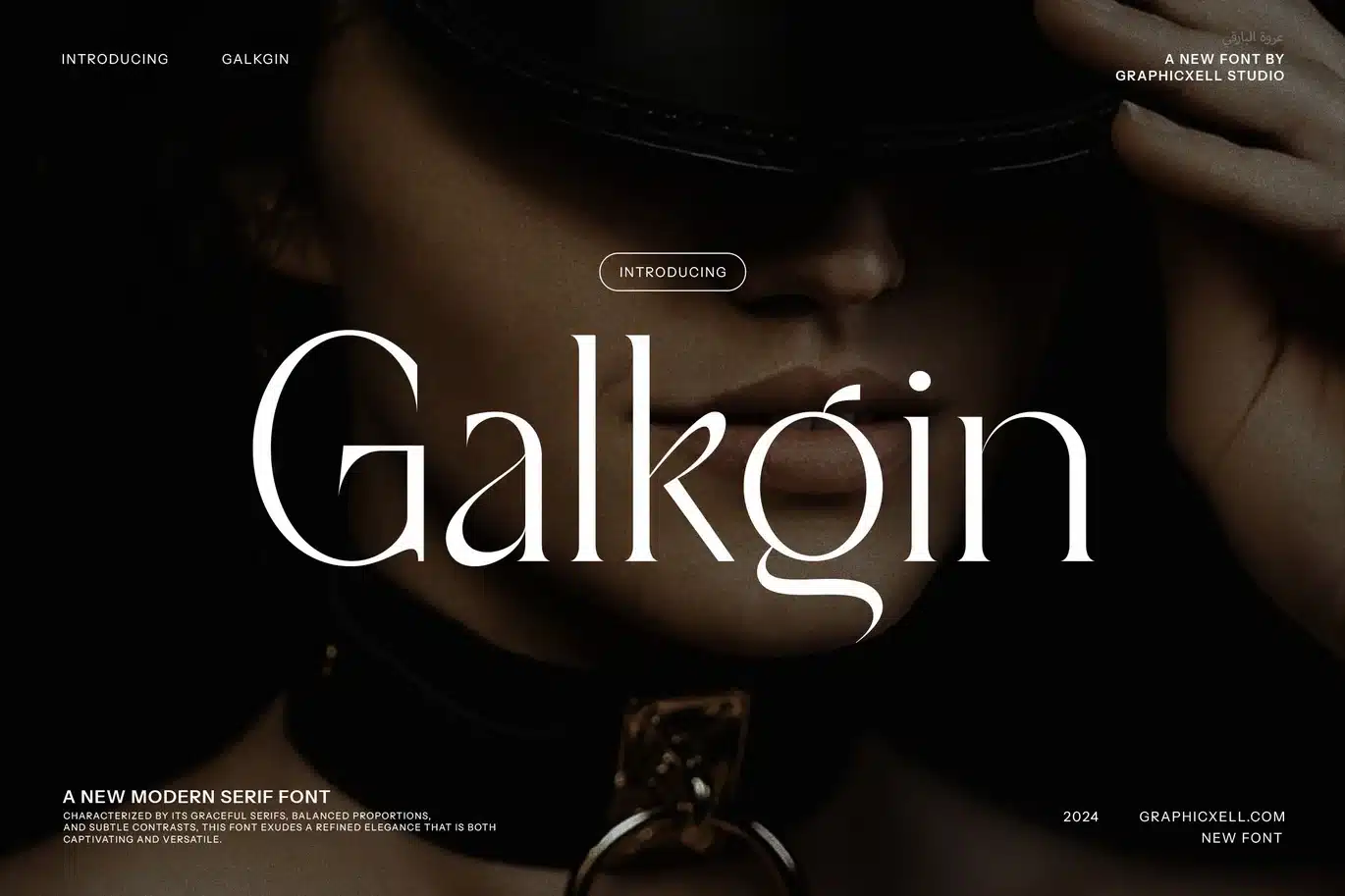 Galkgin – Modern Serif Font font preview